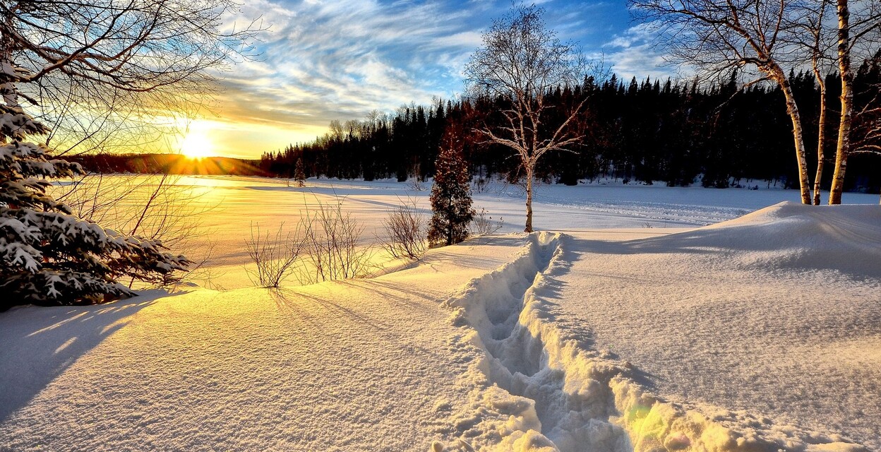 Välkommen till Nykarleby Arbis!